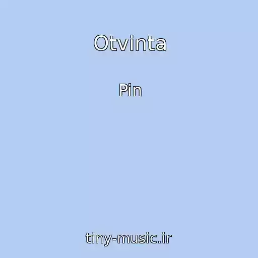 کاور آهنگ Otvinta از Pin