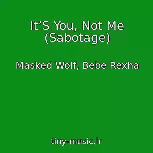 کاور آهنگ It’S You, Not Me (Sabotage) از Masked Wolf, Bebe Rexha