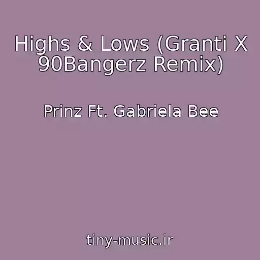 کاور آهنگ Highs & Lows (Granti X 90Bangerz Remix) از Prinz Ft. Gabriela Bee