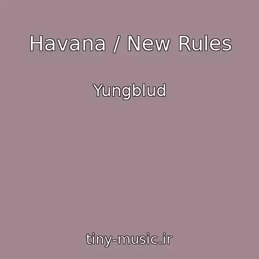 کاور آهنگ Havana / New Rules از Yungblud