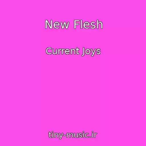 کاور آهنگ New Flesh از Current Joys