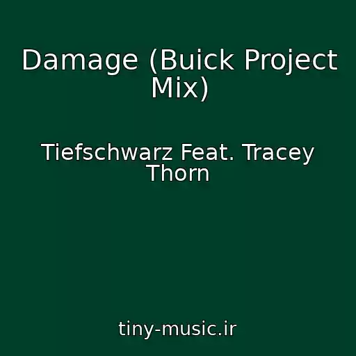 کاور آهنگ Damage (Buick Project Mix) از Tiefschwarz Feat. Tracey Thorn