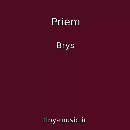 کاور آهنگ Priem از Brys