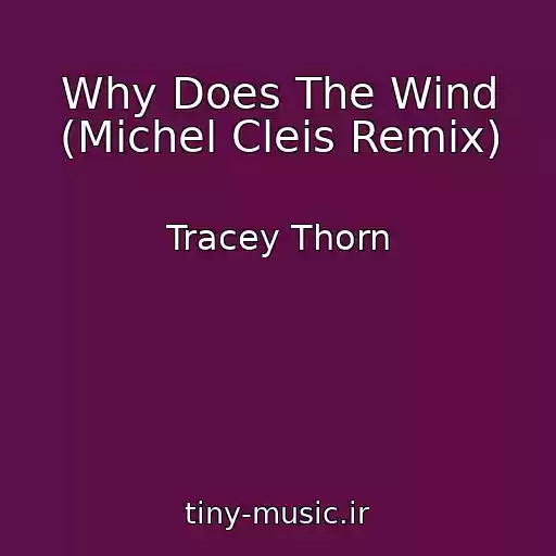 کاور آهنگ Why Does The Wind (Michel Cleis Remix) از Tracey Thorn