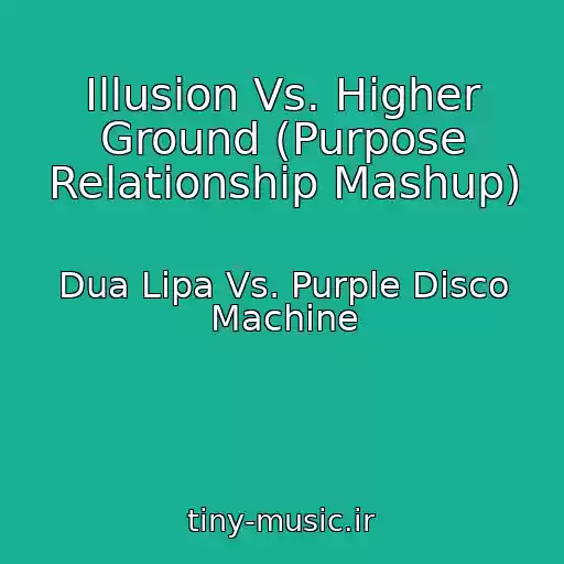 کاور آهنگ Illusion Vs. Higher Ground (Purpose Relationship Mashup) از Dua Lipa Vs. Purple Disco Machine