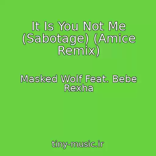 کاور آهنگ It Is You Not Me (Sabotage) (Amice Remix) از Masked Wolf Feat. Bebe Rexha