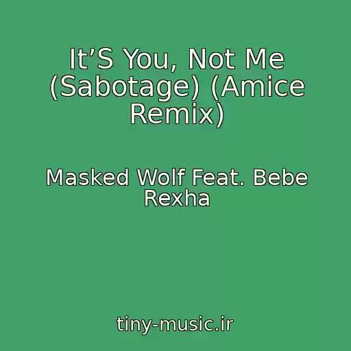 کاور آهنگ It’S You, Not Me (Sabotage) (Amice Remix) از Masked Wolf Feat. Bebe Rexha