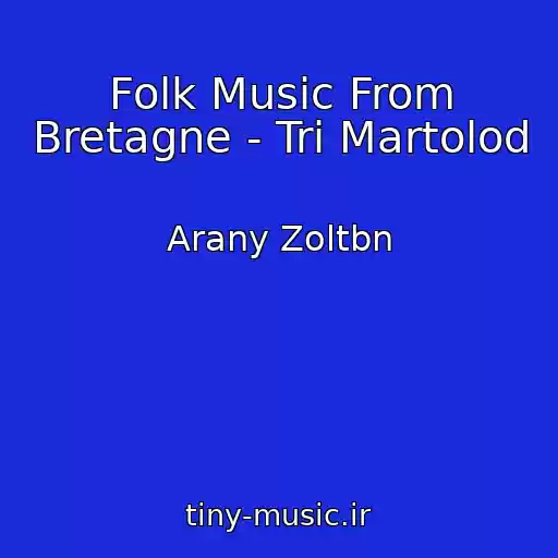 کاور آهنگ Folk Music From Bretagne - Tri Martolod از Arany Zoltbn