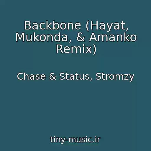 کاور آهنگ Backbone (Hayat, Mukonda, & Amanko Remix) از Chase & Status, Stromzy