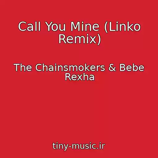 کاور آهنگ Call You Mine (Linko Remix) از The Chainsmokers & Bebe Rexha
