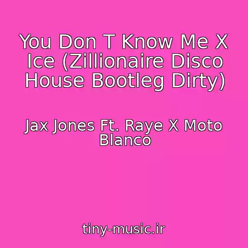 کاور آهنگ You Don T Know Me X Ice (Zillionaire Disco House Bootleg Dirty) از Jax Jones Ft. Raye X Moto Blanco