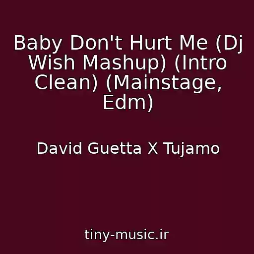 کاور آهنگ Baby Don't Hurt Me (Dj Wish Mashup) (Intro Clean) (Mainstage, Edm) از David Guetta X Tujamo