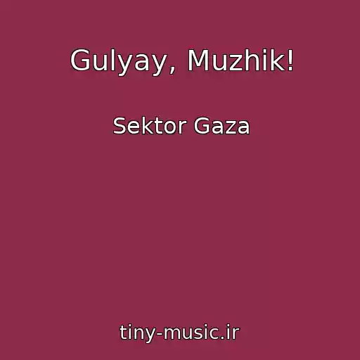 کاور آهنگ Gulyay, Muzhik! از Sektor Gaza