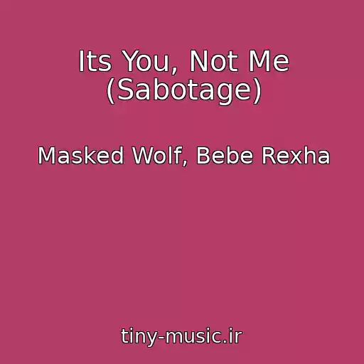 کاور آهنگ Its You, Not Me (Sabotage) از Masked Wolf, Bebe Rexha