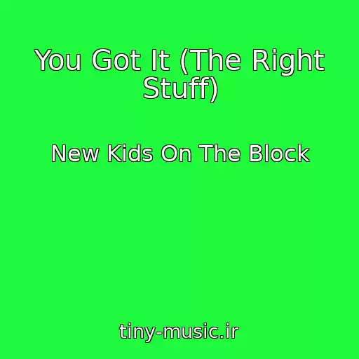 کاور آهنگ You Got It (The Right Stuff) از New Kids On The Block