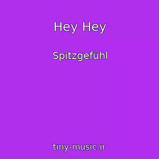 کاور آهنگ Hey Hey از Spitzgefühl