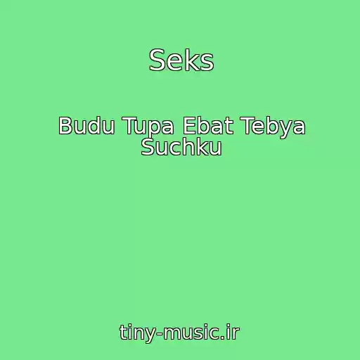 کاور آهنگ Seks از Budu Tupa Ebat Tebya Suchku