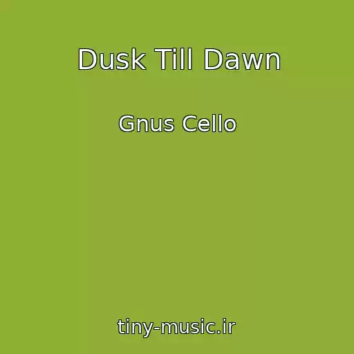 کاور آهنگ Dusk Till Dawn از Gnus Cello