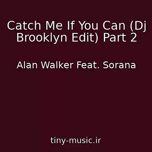 کاور آهنگ Catch Me If You Can (Dj Brooklyn Edit) Part 2 از Alan Walker Feat. Sorana