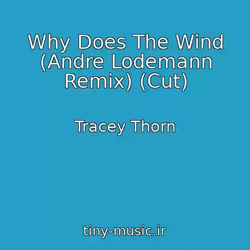 کاور آهنگ Why Does The Wind (Andre Lodemann Remix) (Cut) از Tracey Thorn