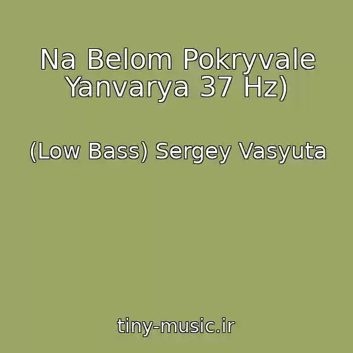 کاور آهنگ Na Belom Pokryvale Yanvarya 37 Hz) از (Low Bass) Sergey Vasyuta