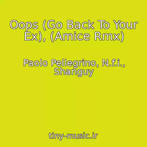 کاور آهنگ Oops (Go Back To Your Ex), (Amice Rmx) از Paolo Pellegrino, N.f.i., Shanguy