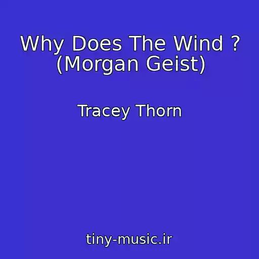 کاور آهنگ Why Does The Wind ? (Morgan Geist) از Tracey Thorn