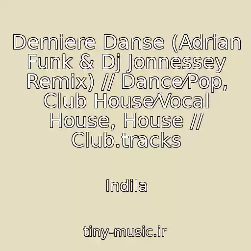 کاور آهنگ Derniere Danse (Adrian Funk & Dj Jonnessey Remix) // Dance⁄Pop, Club House⁄Vocal House, House // Club.tracks از Indila