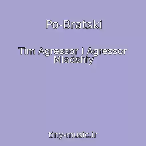 کاور آهنگ Po-Bratski از Tim Agressor I Agressor Mladshiy