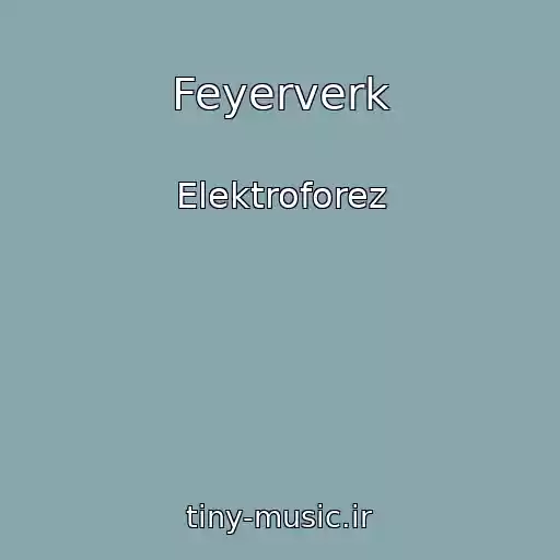 کاور آهنگ Feyerverk از Elektroforez