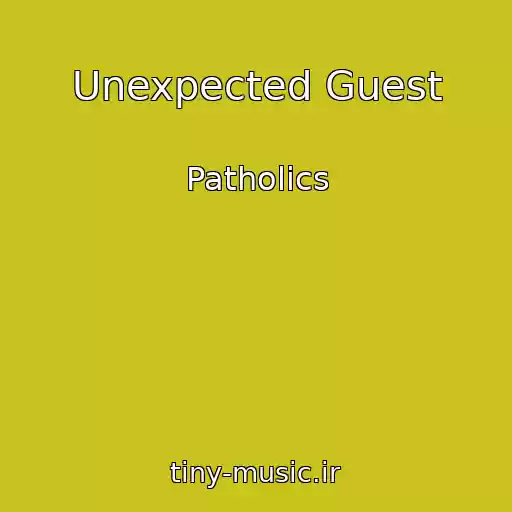 کاور آهنگ Unexpected Guest از Patholics