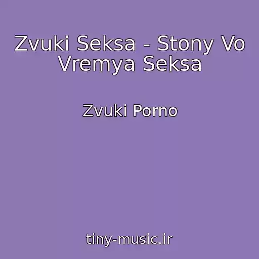 کاور آهنگ Zvuki Seksa - Stony Vo Vremya Seksa از Zvuki Porno