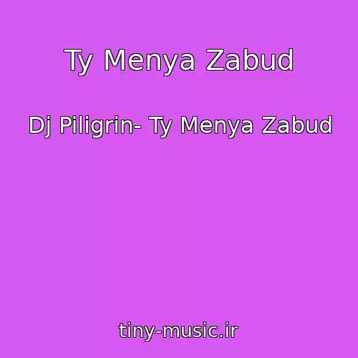 کاور آهنگ Ty Menya Zabud از Dj Piligrin- Ty Menya Zabud