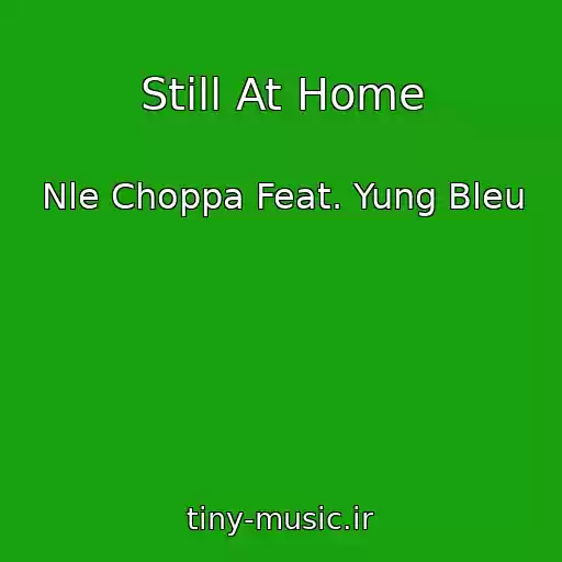 کاور آهنگ Still At Home از Nle Choppa Feat. Yung Bleu