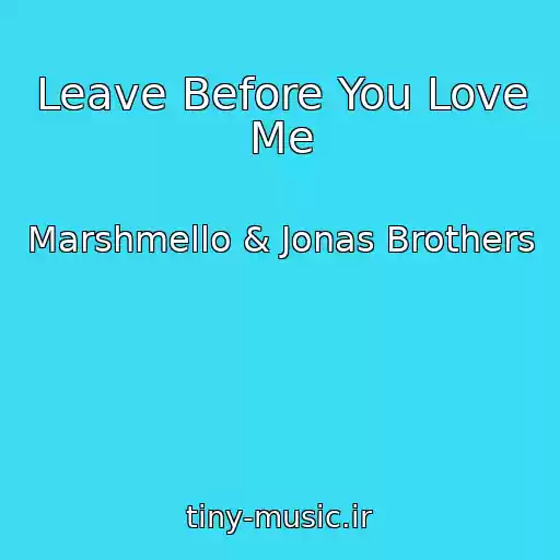 کاور آهنگ Leave Before You Love Me از Marshmello & Jonas Brothers