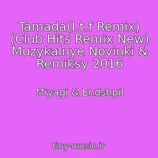 کاور آهنگ Tamada(I.t.f Remix) (Club Hits Remix New) Muzykalnye Novinki & Remiksy 2016 از Miyagi & Endshpil