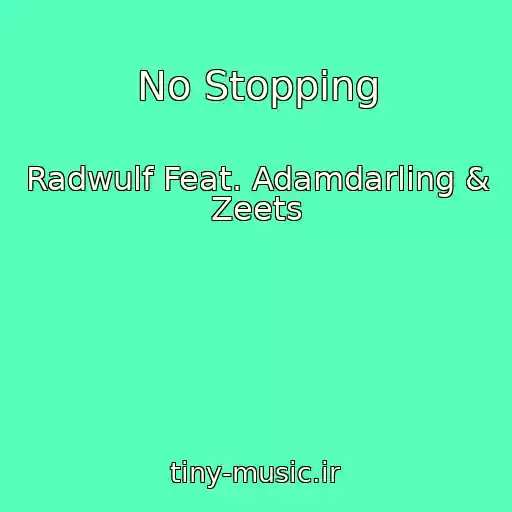 کاور آهنگ No Stopping از Radwulf Feat. Adamdarling & Zeets