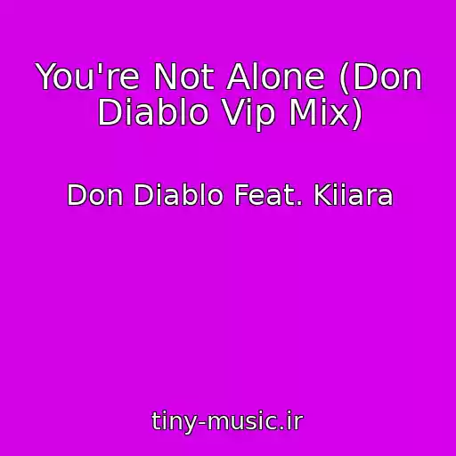 کاور آهنگ You're Not Alone (Don Diablo Vip Mix) از Don Diablo Feat. Kiiara