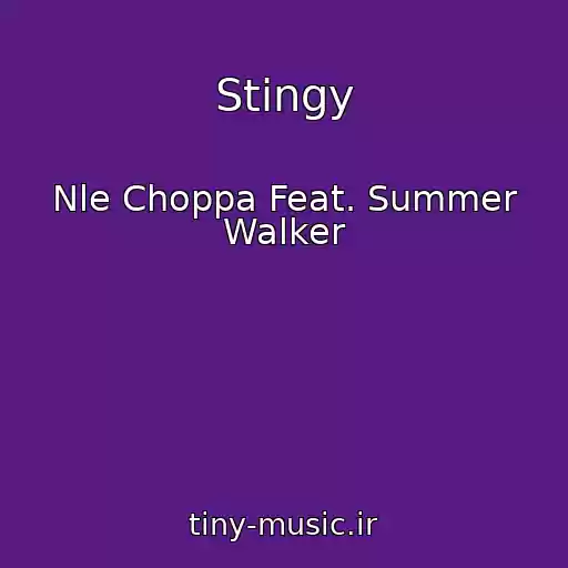 کاور آهنگ Stingy از Nle Choppa Feat. Summer Walker