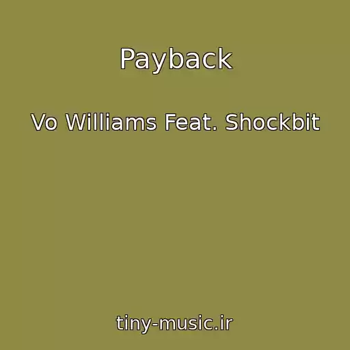 کاور آهنگ Payback از Vo Williams Feat. Shockbit