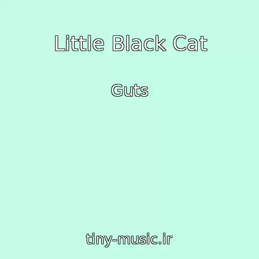 کاور آهنگ Little Black Cat از Guts