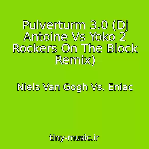 کاور آهنگ Pulverturm 3.0 (Dj Antoine Vs Yoko 2 Rockers On The Block Remix) از Niels Van Gogh Vs. Eniac