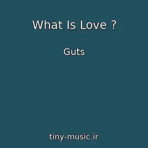 کاور آهنگ What Is Love ? از Guts