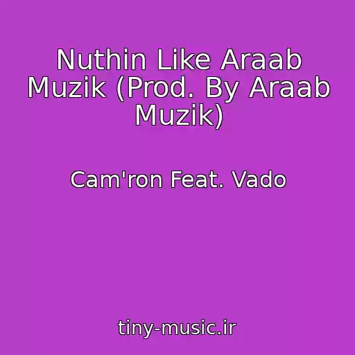 کاور آهنگ Nuthin Like Araab Muzik (Prod. By Araab Muzik) از Cam'ron Feat. Vado