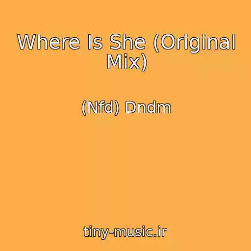 کاور آهنگ Where Is She (Original Mix) از (Nfd) Dndm