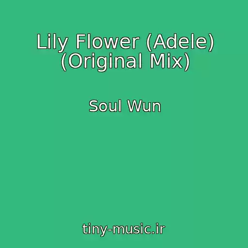 کاور آهنگ Lily Flower (Adele) (Original Mix) از Soul Wun