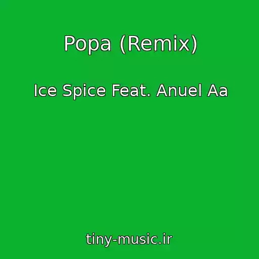 کاور آهنگ Popa (Remix) از Ice Spice Feat. Anuel Aa