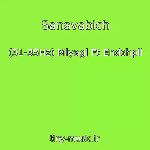 کاور آهنگ Sanavabich از (31-35Hz) Miyagi Ft Endshpil