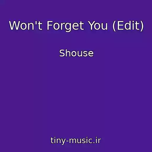 کاور آهنگ Won't Forget You (Edit) از Shouse