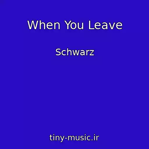 کاور آهنگ When You Leave از Schwarz
